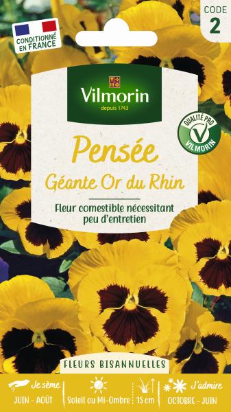Fleurs - Pensée Géante Or du Rhin - PACKAGING_RECTO